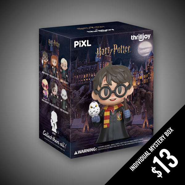 Thrilljoy PIXL: Harry Potter: Single Blind Box